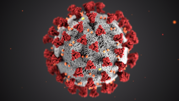 Coronavirus in its original shape